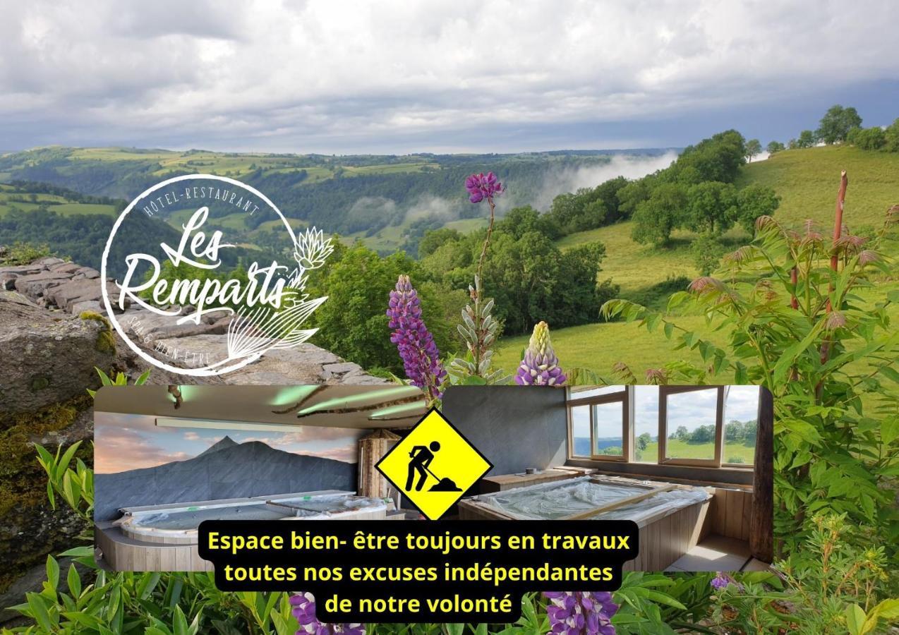 Logis Hotel Restaurant & Spa Les Remparts Салер Екстер'єр фото